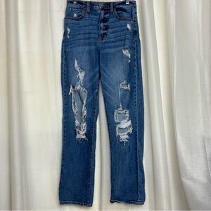 Willow & Root Dad Jean High Rise Distressed Straight Leg Jeans